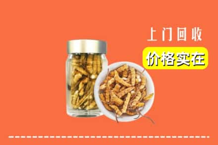 安多县回收散虫草