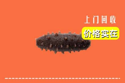 安多县回收海参