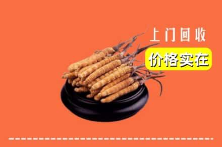 安多县回收冬虫夏草